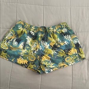 Patagonia Blue and Green Athletic Shorts